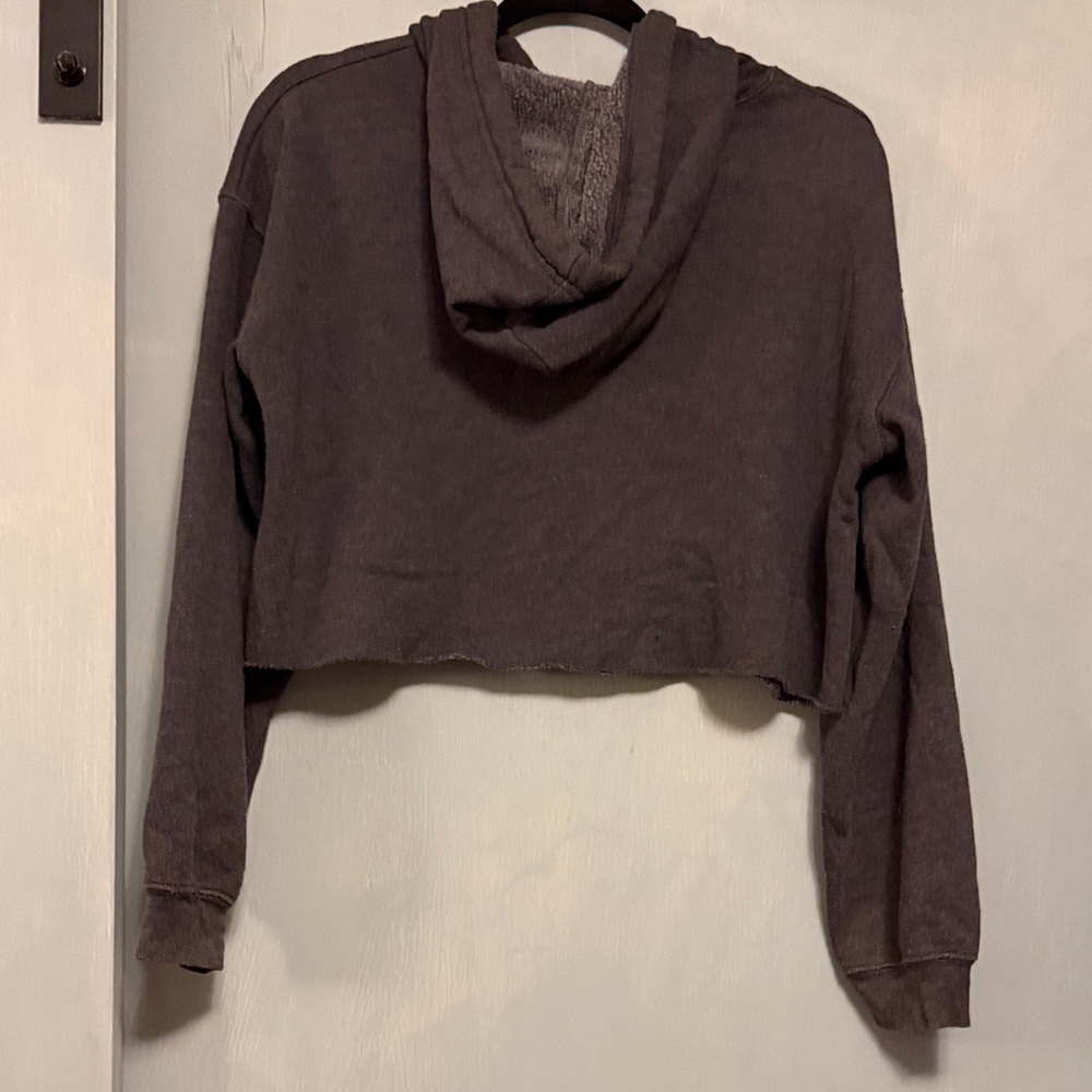 Aloha ʻĀina Gray Cropped Hoodie - Picture 2 of 3